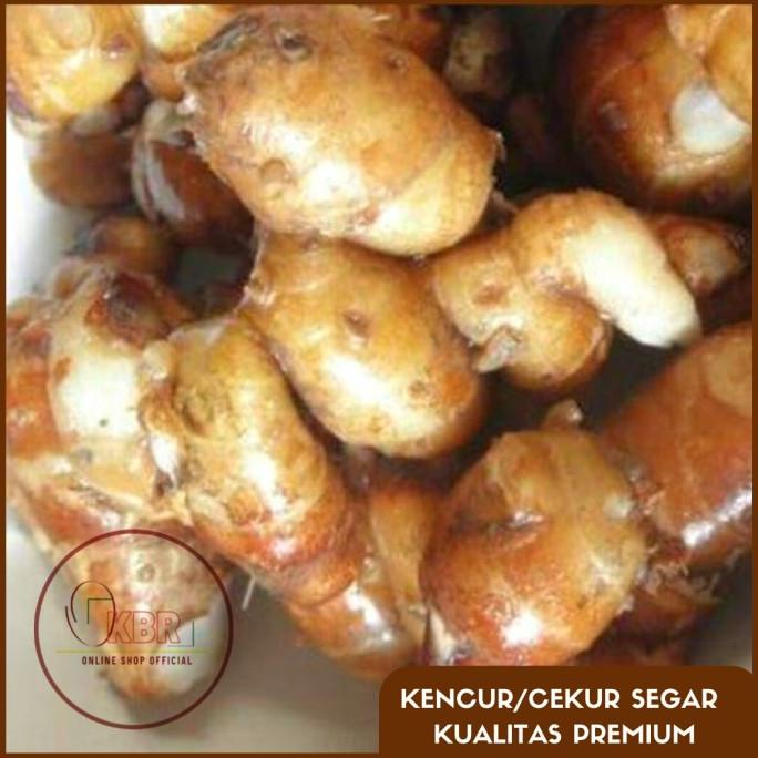 

PROMO KENCUR/CEKUR SEGAR - 500gr & 1Kg MURAH
