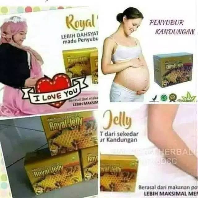 Penyubur kandungan dan perangsang wanita ko po