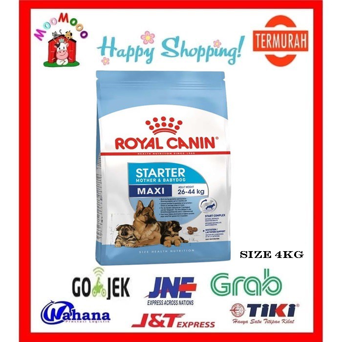 Royal Canin Maxi Starter &amp; Baby Dog 4Kg - Makanan Anjing / Cat Food