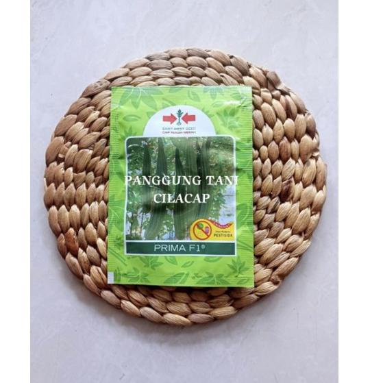 Keluaran Terbaru.. Benih Gambas/Oyong PRIMA F1 - PRIMA VERA F1 (BUAH SAMA BEDA NAMA BARU) / Termurah