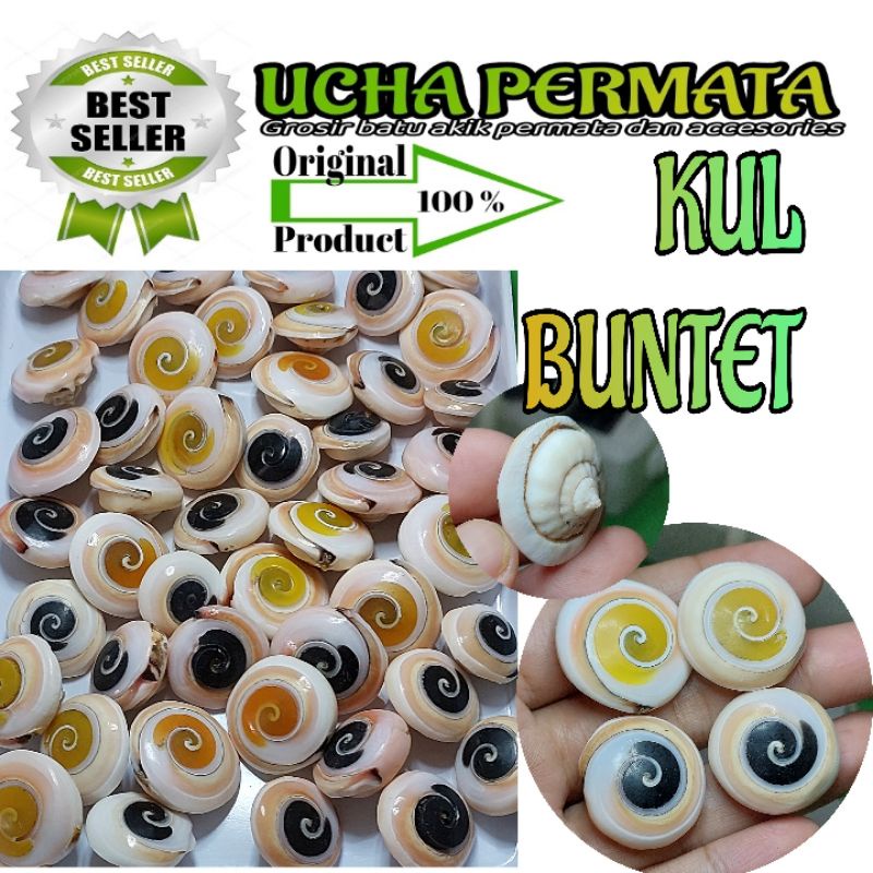 Kul buntet keong lancip bawah warna hitam kuning murah