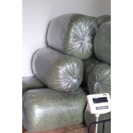 

Daun Kelor Kering 10kg Promo Murah Moringa Kelor