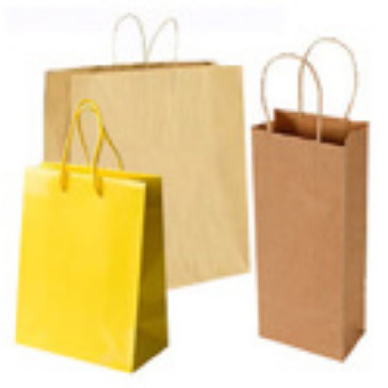 

Eco-green Paper Bag