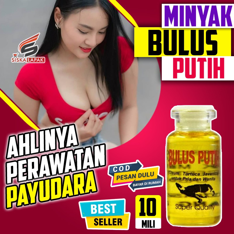 [BISA COD] Minyak Bulus Putih Asli Original Pembesar Payudara PD Eyang Laut