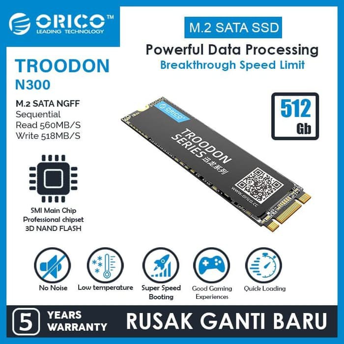 SSD M.2 NGFF ORICO 512GB SATA 3.0 M2 TROODON 3D NAND FLASH N300-512GB