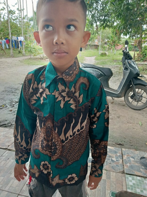 Baju Batik Anak Laki-laki Lengan Panjang Bisa Buat Seragam Sekolah Hari Batik - Harga Grosiran Murah