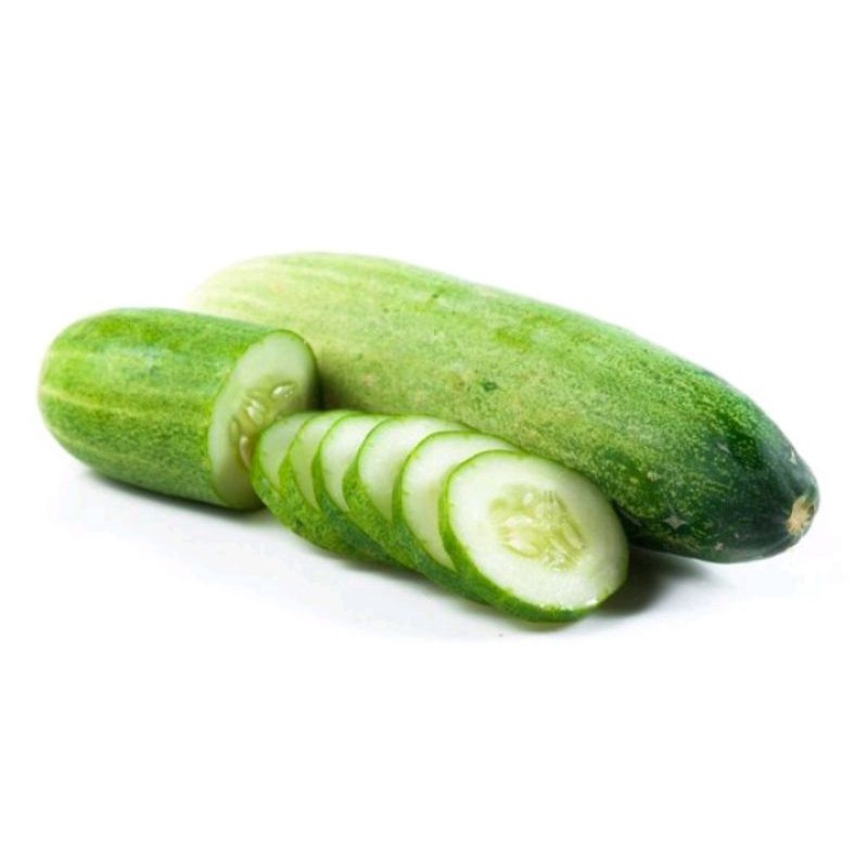 

Timun segar Mentimun Sayur [PO H+1]