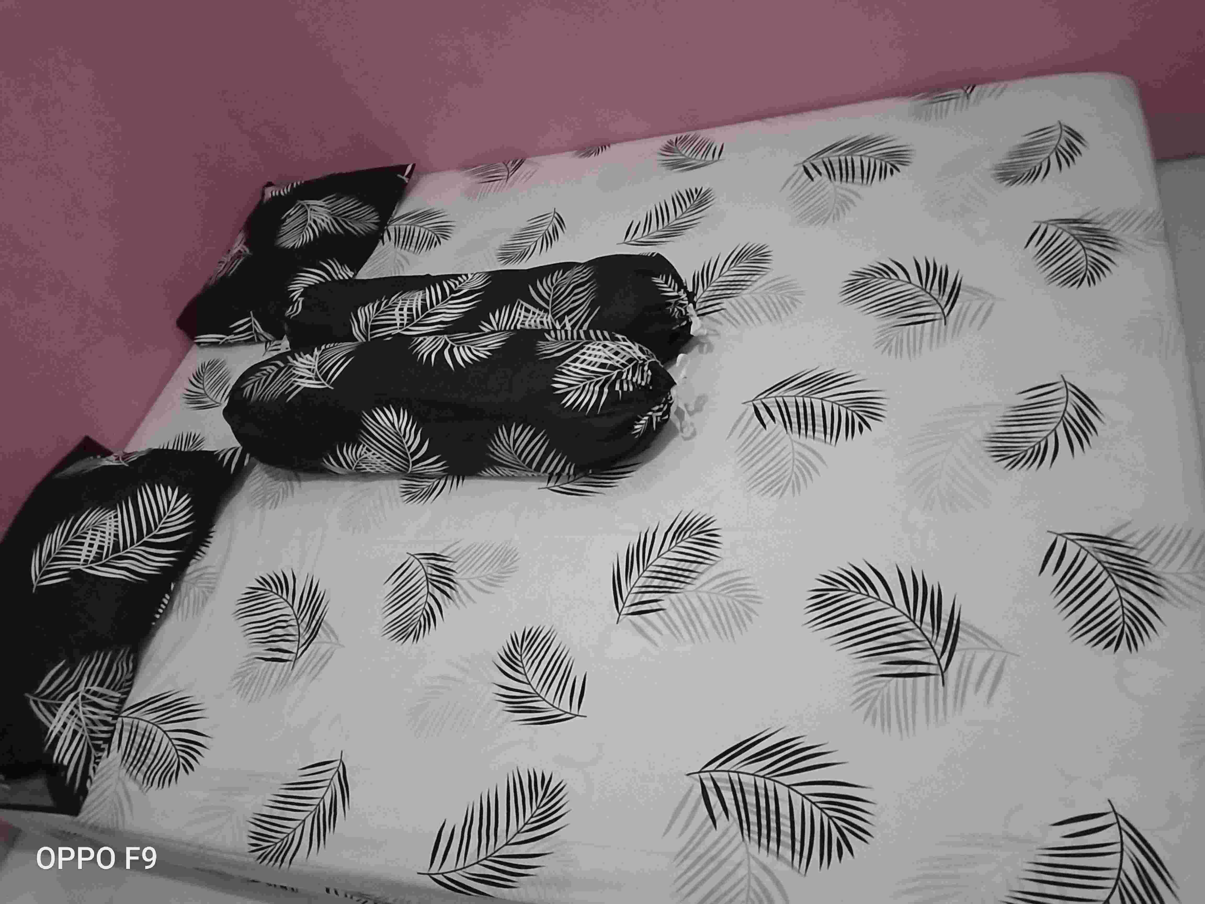 Sprei Katun motif Tropical Daun Segitiga Polkadot Garis Sprei Katun motif Tropical Daun Segitiga Polkadot Garis