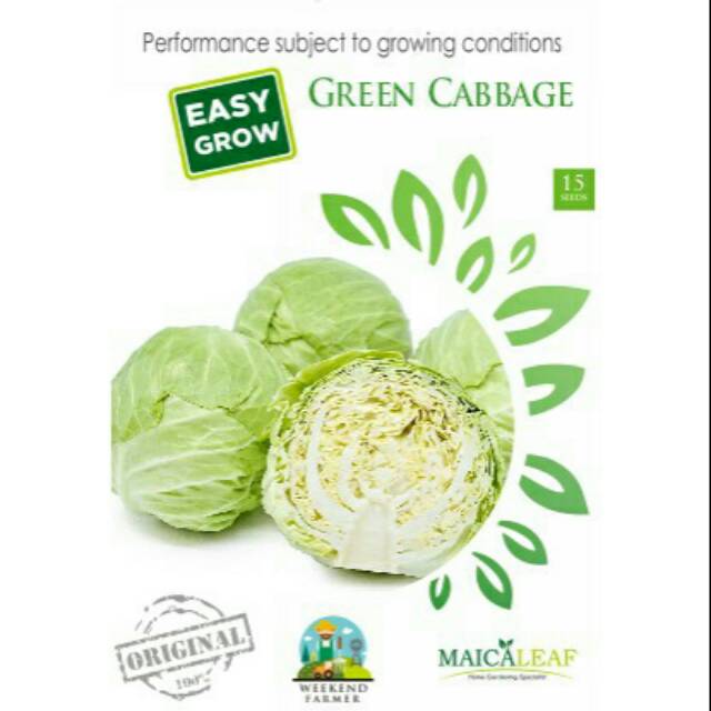 

GREEN CABAGE isi 15 biji