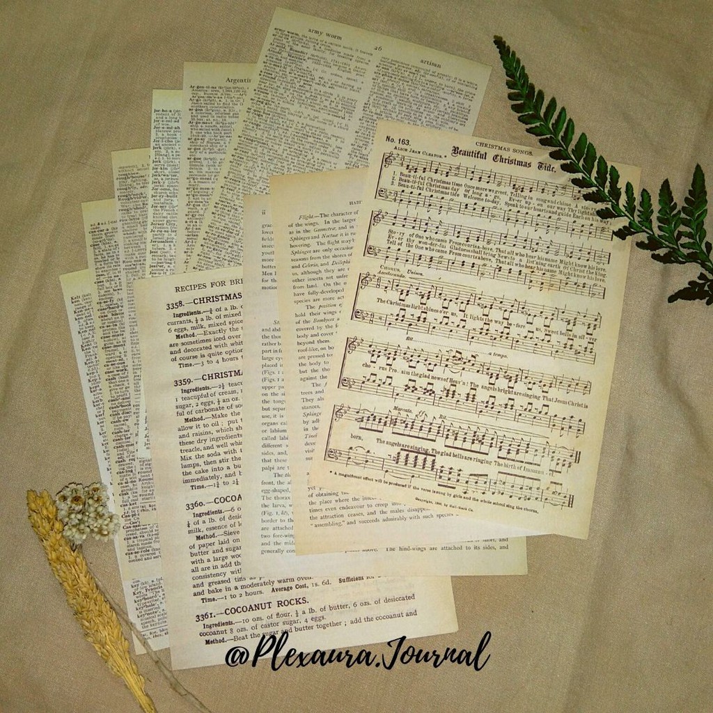 

Old paper “fake” natural untuk bujo scrapbook Plexaura.journal