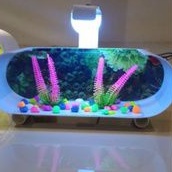 aquarium mini/aquarium pvc/aquarium ikan cupang/aquarium ikan hias