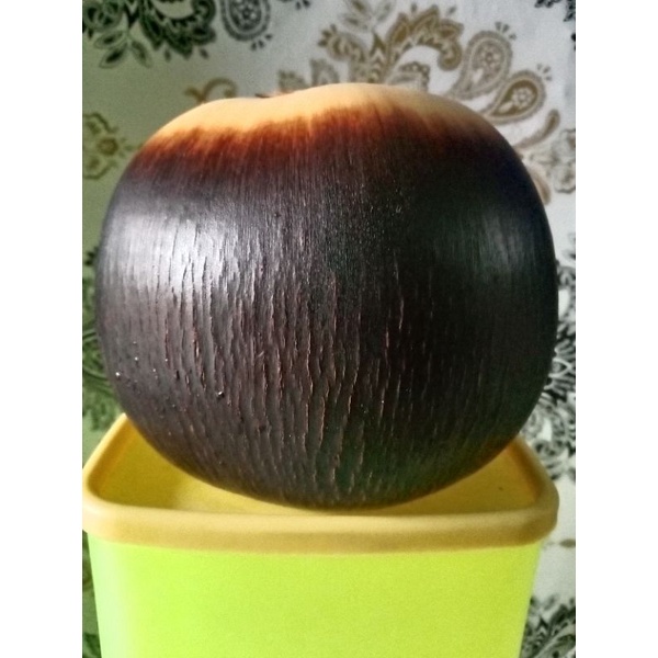 

siwalan/buah lontar