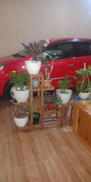  Rak  standing pot bahan kayu  ulin  bagus Shopee Indonesia