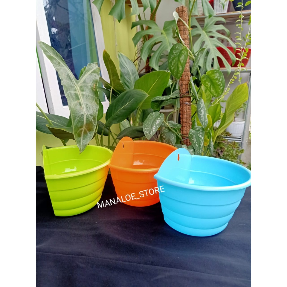 POT BUNGA GANTUNG, POT BUNGA DINDING, POT TEMPEL, POT BUNGA PLASTIK WARNA-WARNI, POT BUNGA MURAH