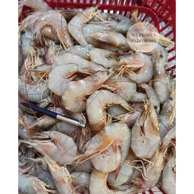 

UDANG JERBUNG / UDANG PECI SEGAR 1 KG (30-40 ekor)