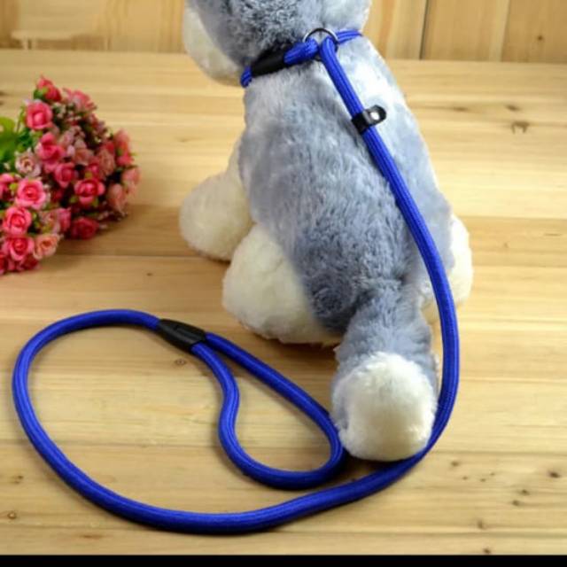 Tali tuntun Cesar milan