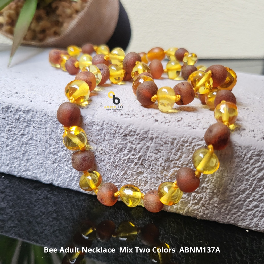 Kalung Amber Dewasa Premium Mix Two Colors by Amberbee ABNM137