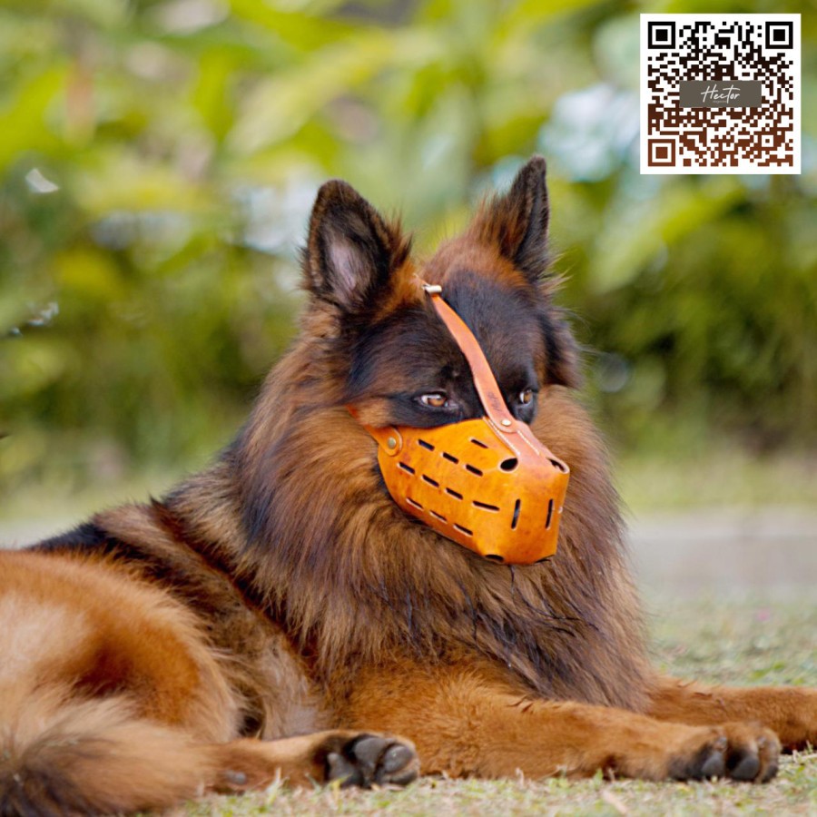 HECTOR Zevellin 100% Leather Dog Muzzle Brongsong Brangus Masker Penutup Mulut Anjing Protection K9
