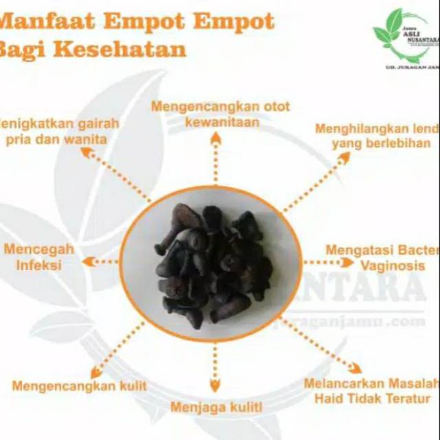 (Jogja) JJ 50 gr 25 gr Empot ayam hitam putih biang asli mpot-mpot madura utuh