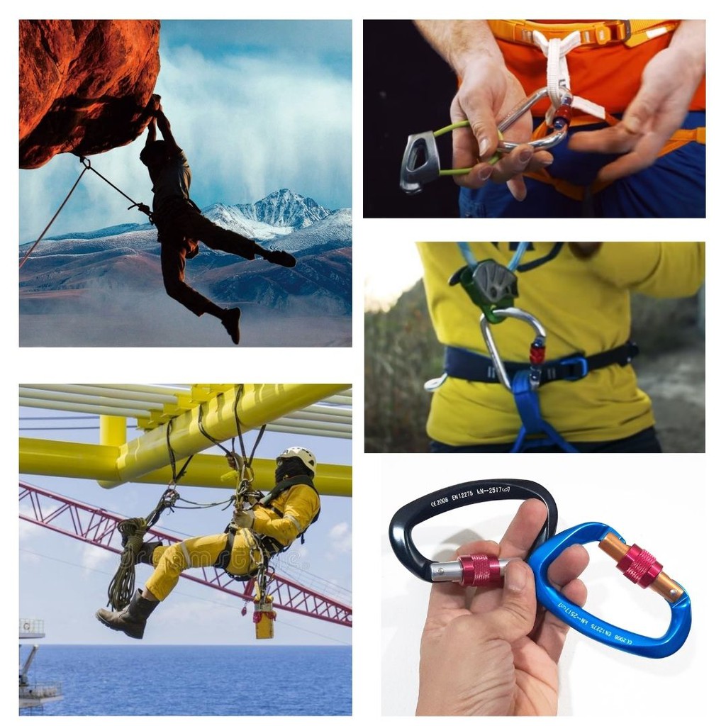 Karabiner Buckle Safety Rope Harness Quickdraw SS Rock Climbing 111140