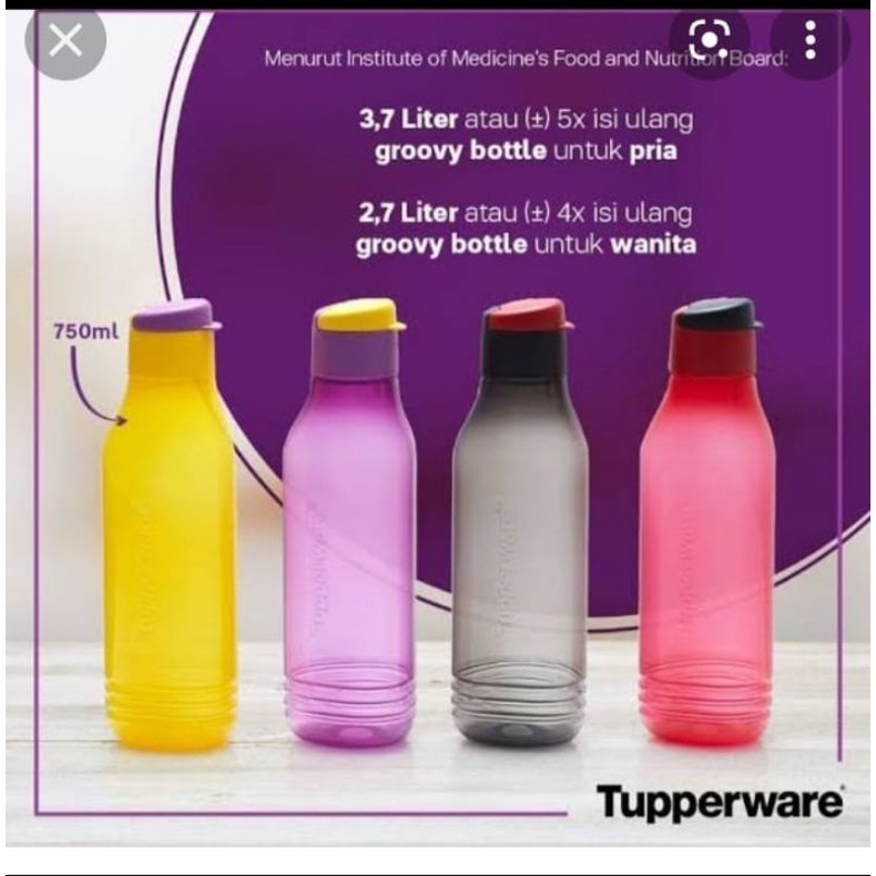 Tupperware Botol 750 Ml