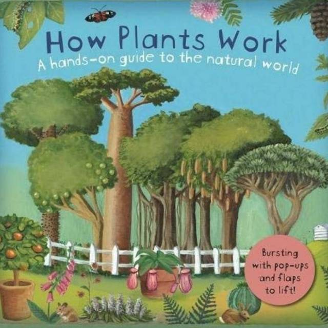 HOW PLANTS WORK