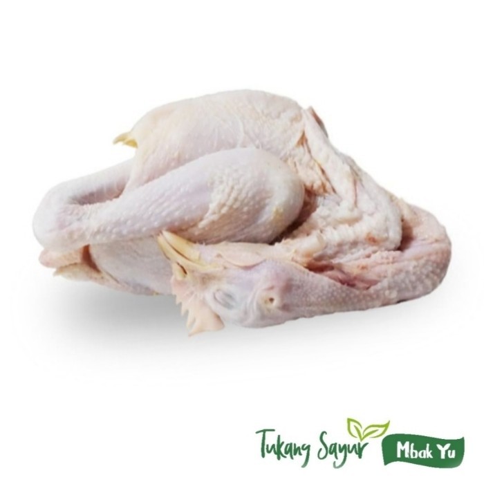 

Ayam kampung asli segar