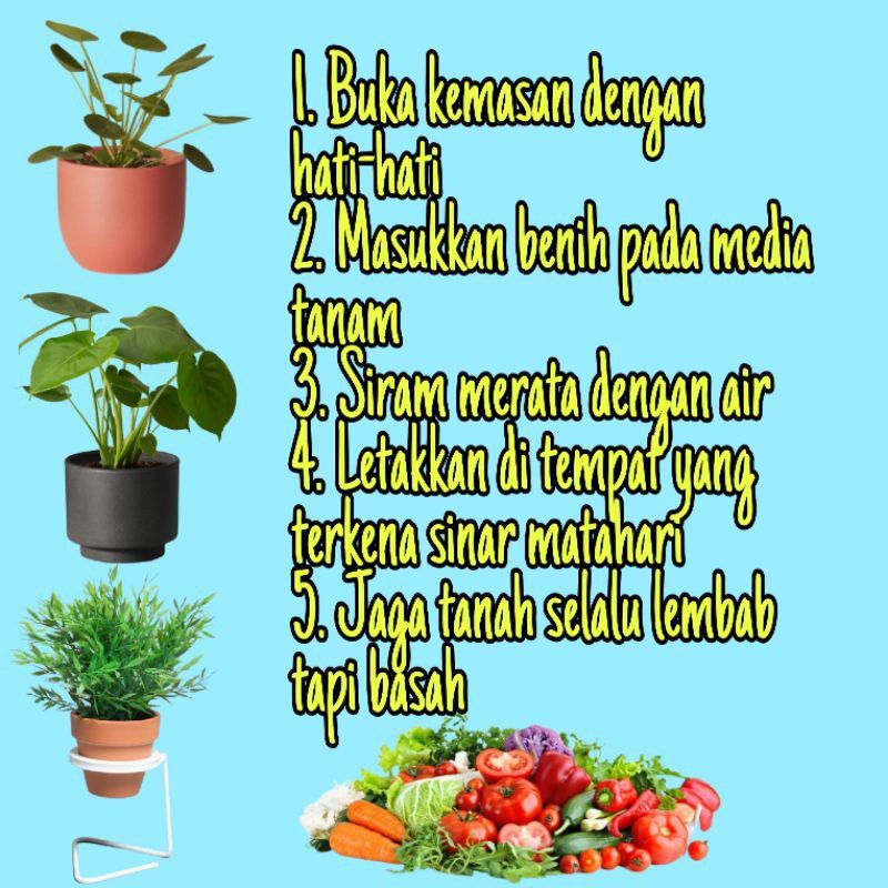 Bibit Sayur Bayam Merah Mira - Benih Sayuran