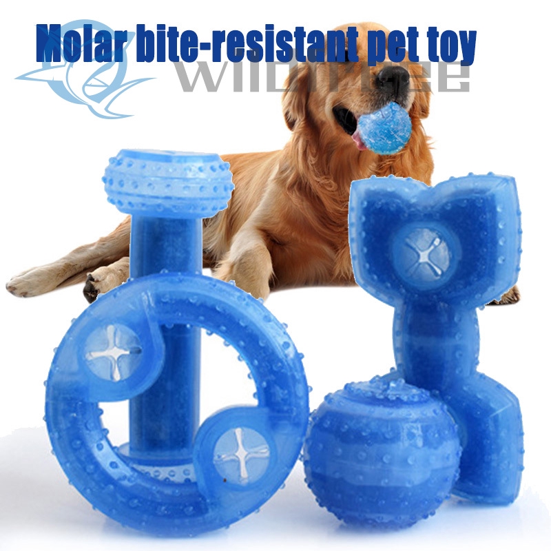 cooling dog toys