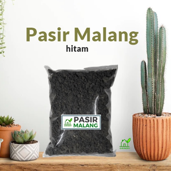 Jual Pasir Malang Hitam Untuk Media Tanam Kaktus Sukulen Kg