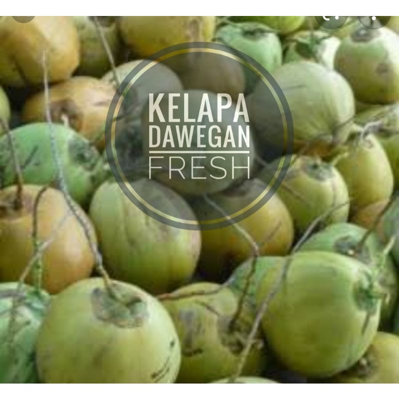 

Kelapa Dawegan Segar 1Pcs