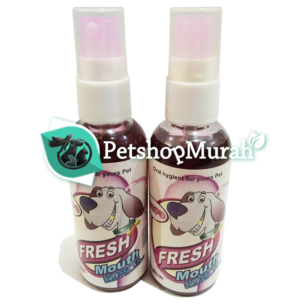 Mouth Wash / Pembersih Mulut Fresh Mouth Anti Septik Spray