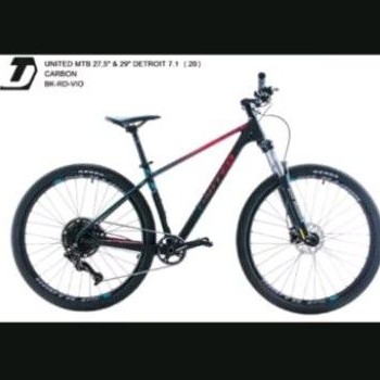 Sepeda Mtb 29 inch CARBON Detroit 7.1 2020