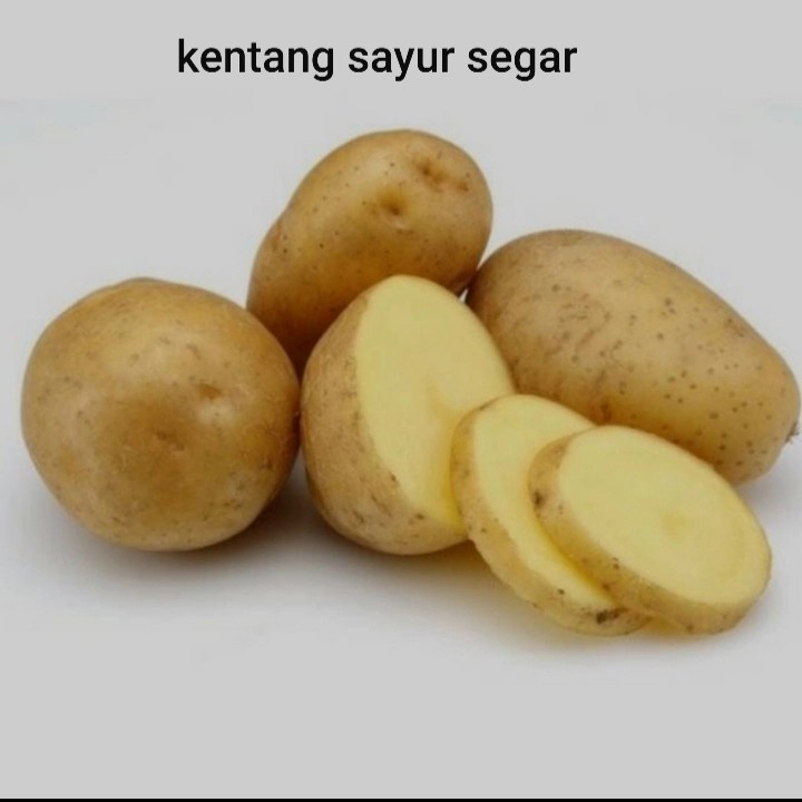 

Kentang Sayur / Kentang Sop / Kentang Dieng Segar Alami 500 gram Kentang Fresh