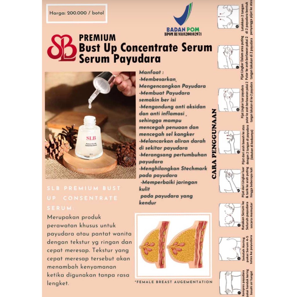 SLB PREMIUM BUST UP CONCETRATE SERUM