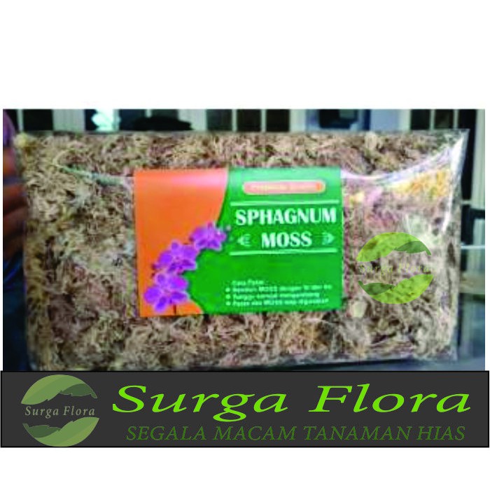 Sphagnum Moss Chille 200 Gram - Media Tanam