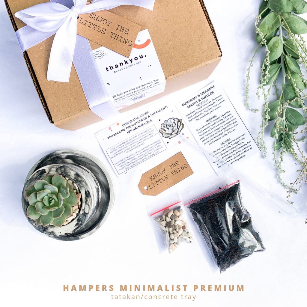 Hampers Minimalis Premium concrete gypsum + Tatakan Pot (Kaktus &amp; Sukulen Tanaman Hias Hidup) (Mini box hampers)  (gift box birthday) (hampers ulangtahun)/hampers lebaran