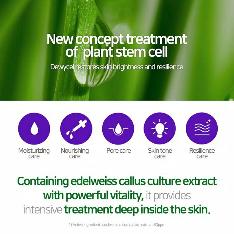 DEWYCEL PRIVATE CARE FACIAL MASK