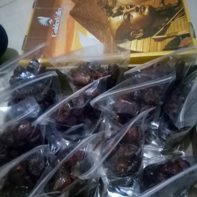 

Kurma Tunisia