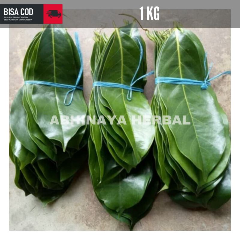 

DAUN SIRSAK TUA SEGAR ORGANIK KEMASAN 1KG