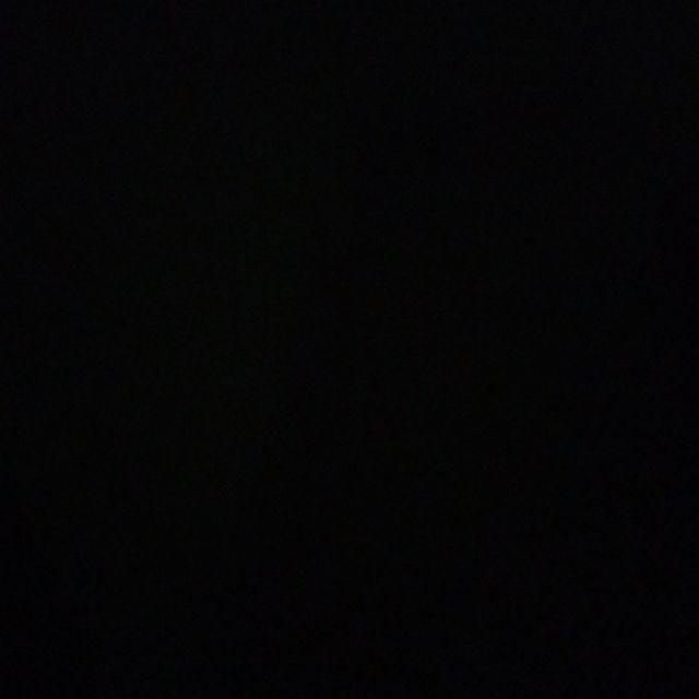 Benih Sayuran