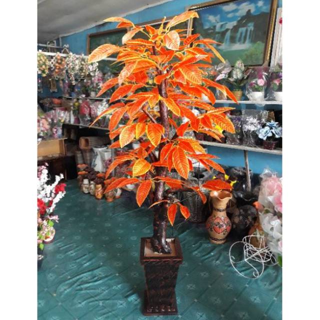 Pohon Besar Pohon Hias Pohon Bunga Pot Kayu