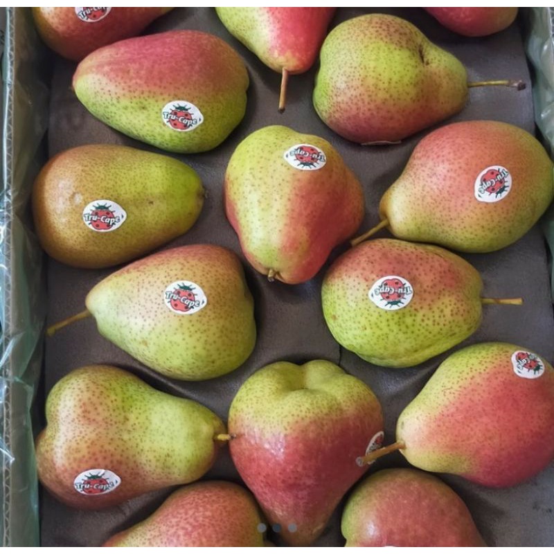 

Pear Merah Hijau Import Foreli Calina