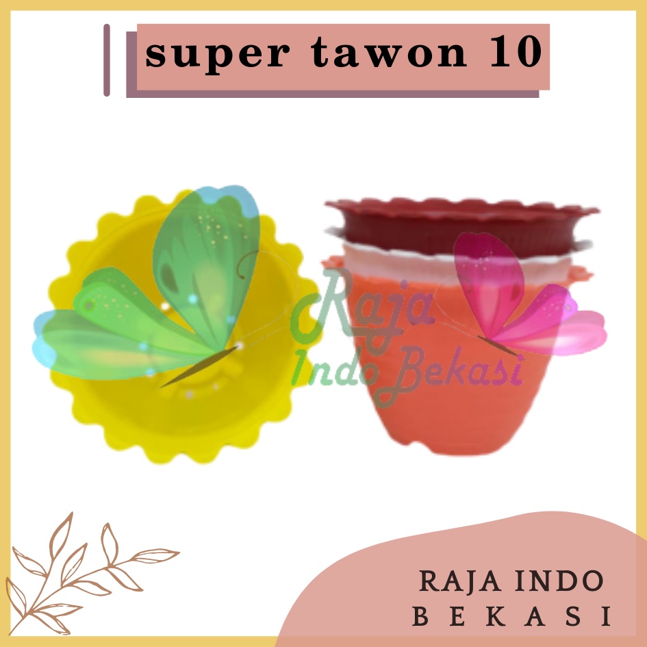 Pot Tawon Dahlia Super Tawon 10 Putih Kuning Orange Merah Pot Tawon Putih Pot Kaktus Mini Lucu Murah