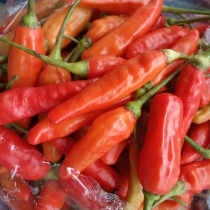 

CABE RAWIT MERAH (pack 100gr)