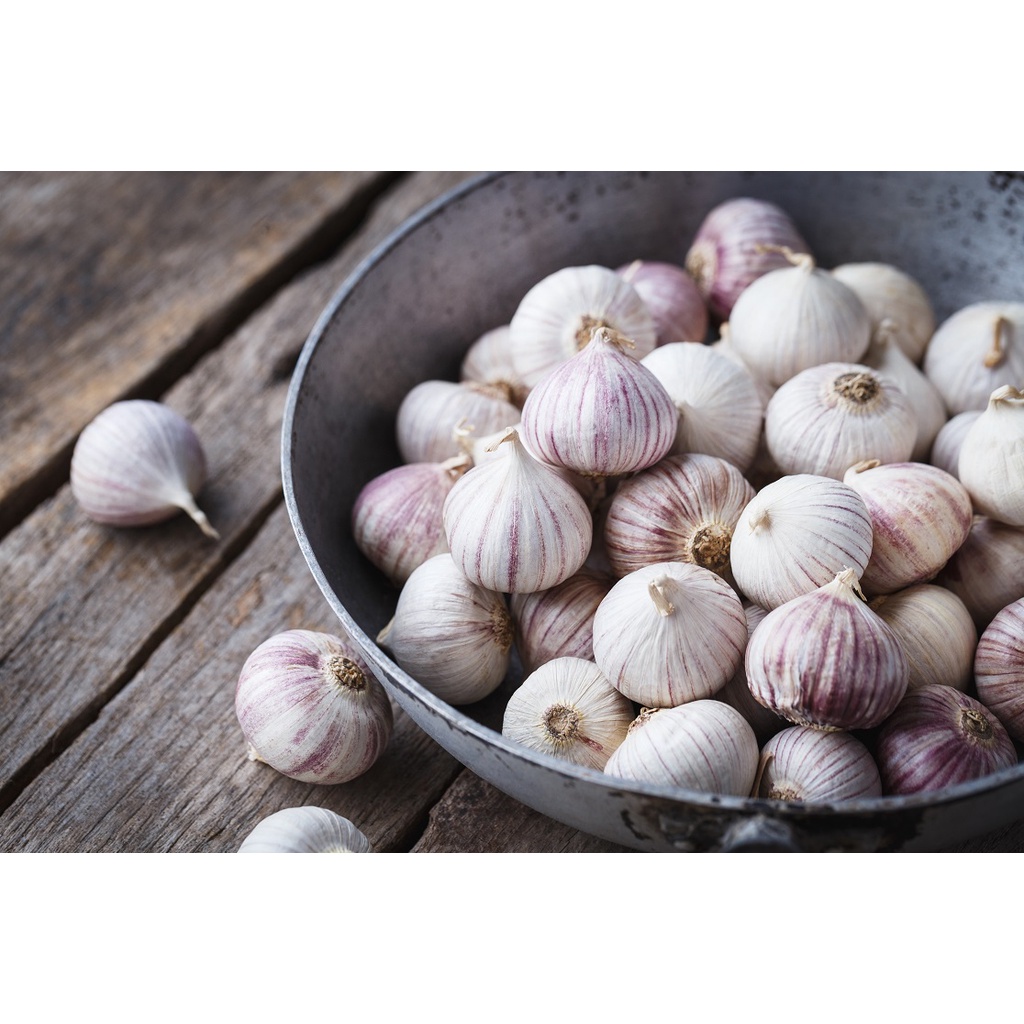 

BAWANG PUTIH TUNGGAL/LANANG