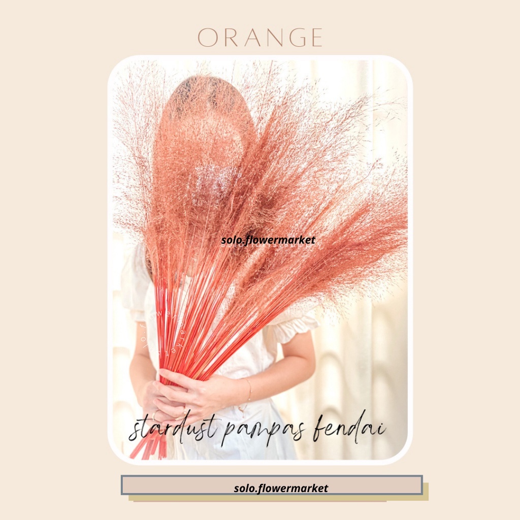 STARDUST PAMPAS FENDAI Home Decor Rayung Kering Rayung Panjang Rayung Natural Rayung Rustic Dekorasi