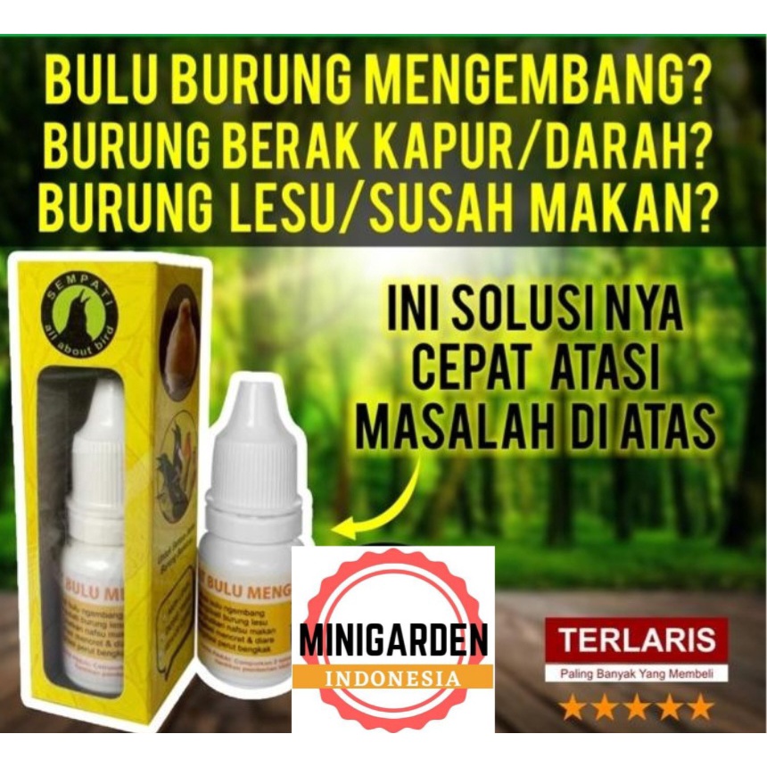 OBAT BULU NGEMBANG BURUNG obat diare berak kapur darah vitamin daya tahan tubuh pencernaan burung