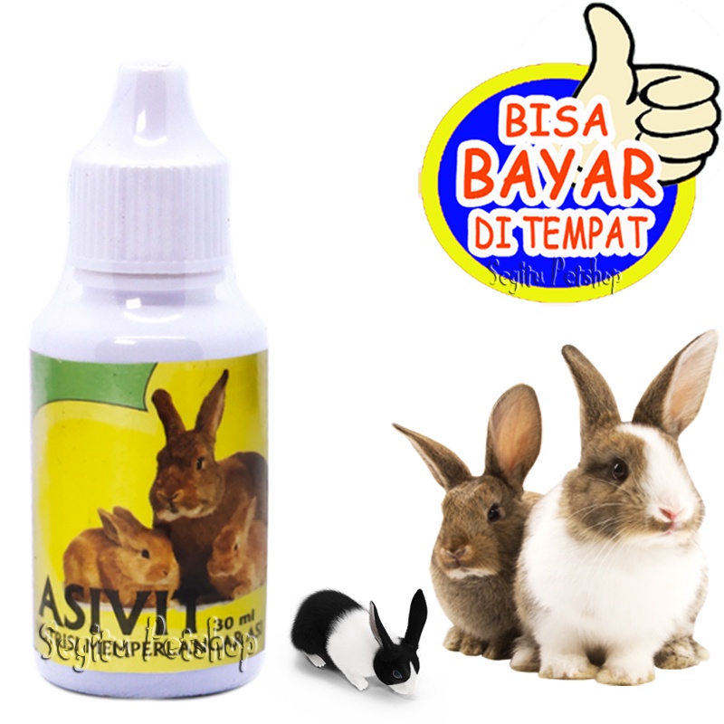 Vitamin Pelancar ASI Kelinci Perbanyak Air Susu Indukan Asivit