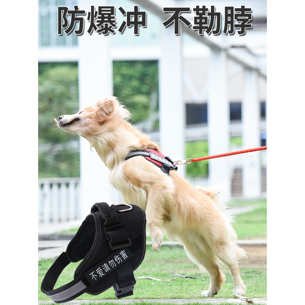 Tali Anjing Tali Dada Jinmao Samoyed Kecil Menengah Besar Rompi